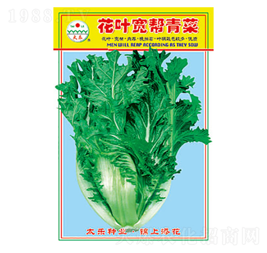 青菜種子-花葉寬幫青菜-太樂種業(yè)