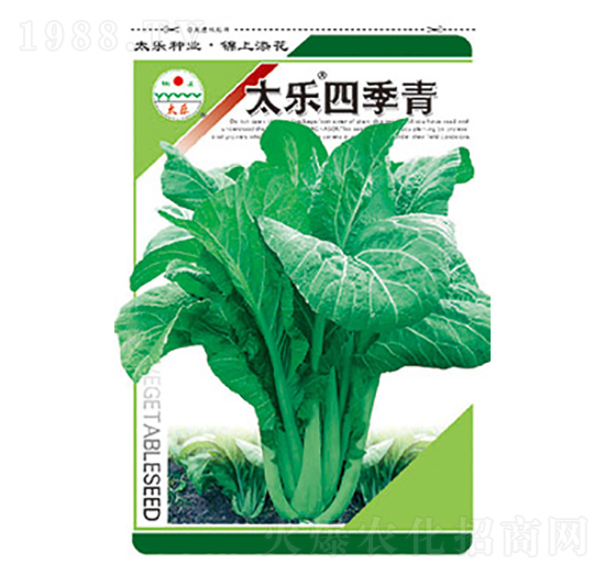 青菜種子-太樂四季青-太樂種業(yè)