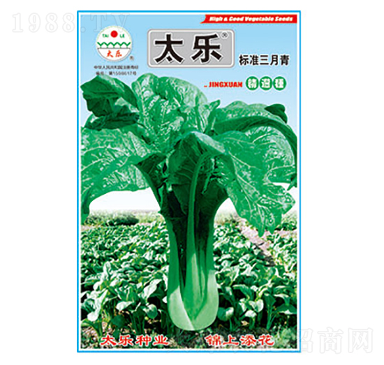 青菜種子-標準三月青-太樂種業(yè)