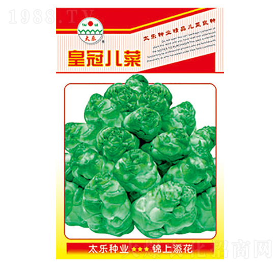 ���˷N��-�ʹڃ���-̫��(l��)�N�I(y��)