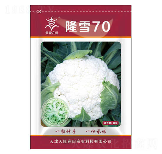 隆雪70-天隆在田-天隆農(nóng)業(yè)