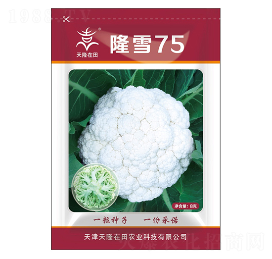 隆雪75-天隆在田-天隆農(nóng)業(yè)