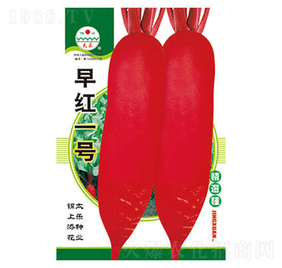 �}���N��-��tһ̖-̫���N�I(y��)