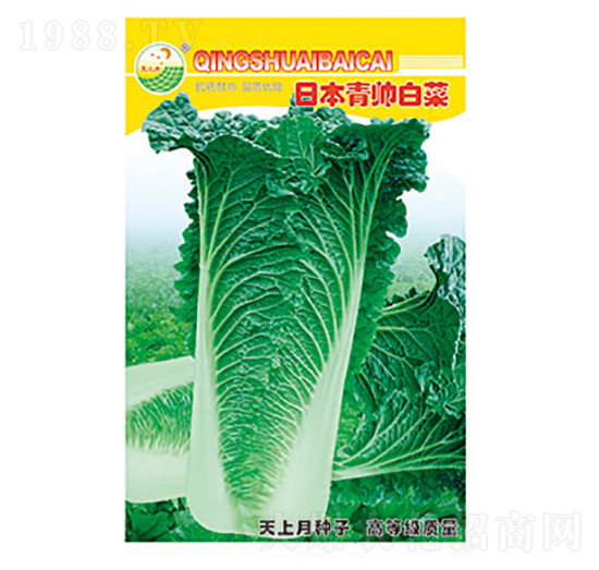 �ײ˷N��-�ձ������ײ�-̫���N�I(y��)