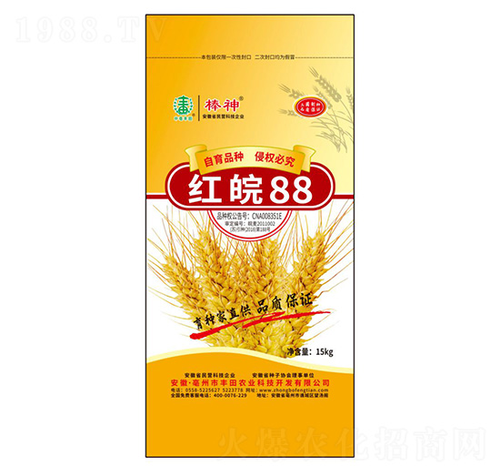 紅皖88小麥種子-豐田農(nóng)業(yè)