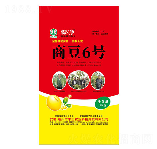 商豆6號(hào)大豆種子-豐田農(nóng)業(yè)