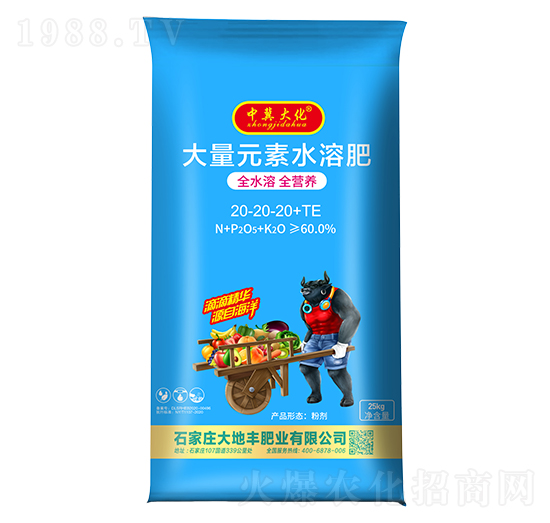 大量元素水溶肥20-20-20+TE-中冀大化-大地豐