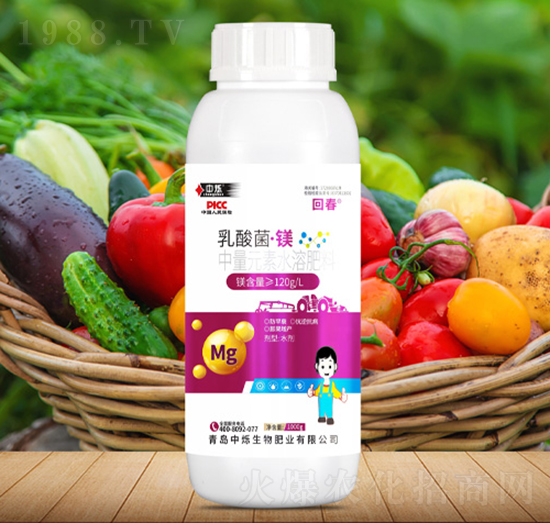 乳酸菌·鎂-回春-中爍生物