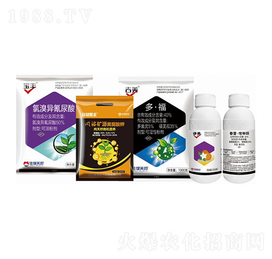 根部病害解決方案-美邦化工