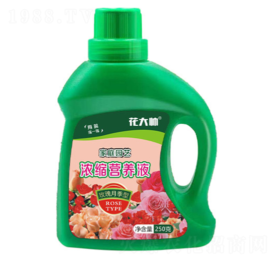 玫瑰月季型家庭園藝濃縮營養(yǎng)液-花大帥-綠沃肥業(yè)