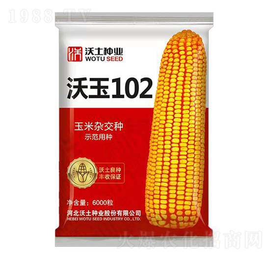 沃玉102-玉米種子-沃土種業(yè)