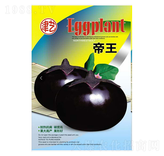 茄子種子-帝王-邯豐農(nóng)業(yè)