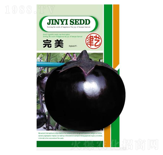 茄子種子-完美-邯豐農(nóng)業(yè)