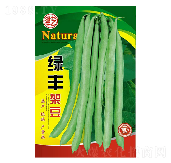 豆角種子-綠豐豆架-邯豐農(nóng)業(yè)