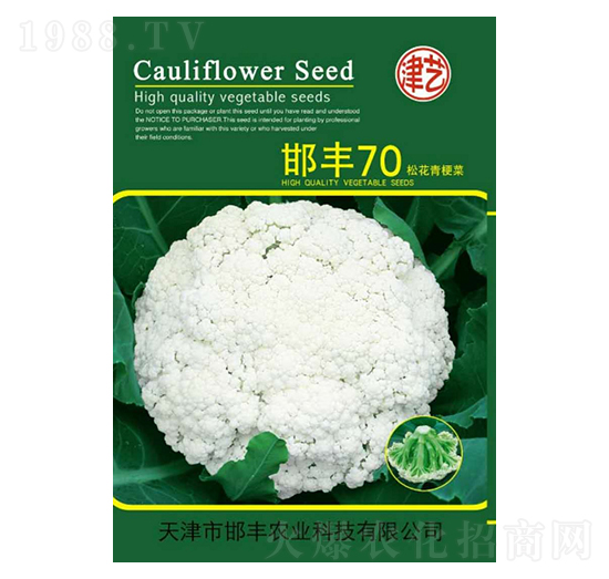花菜種子-邯豐70-邯豐農(nóng)業(yè)