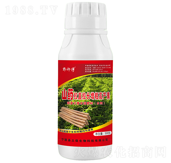 山藥拉直拉長增粗高產(chǎn)素-郭師傅-立信生物