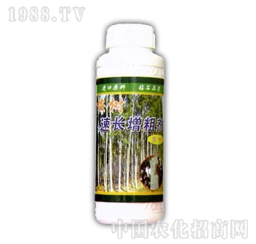 ��ɽ����-������L���ք�