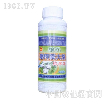 ��ɽ����-�޻���������