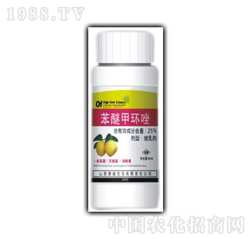 ��������-������