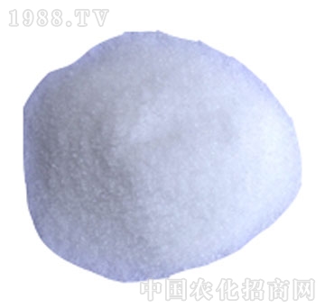 好時(shí)吉-19-19-19+TE