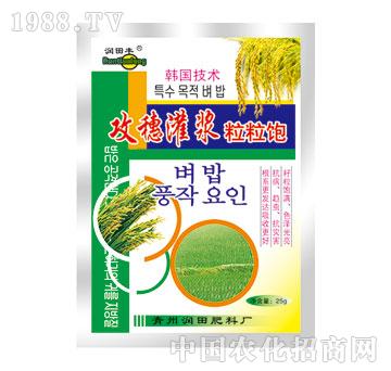 ����-������{�����