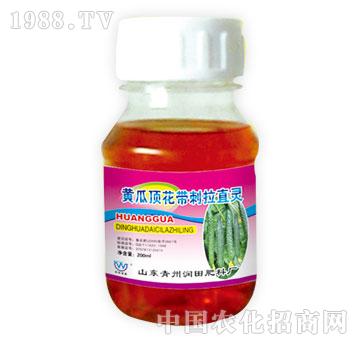 ��(r��n)��-�S��픻�������ֱ�`