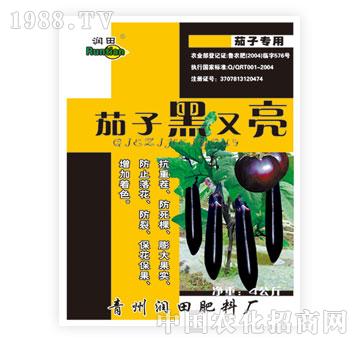 ����-���Ӻ�����