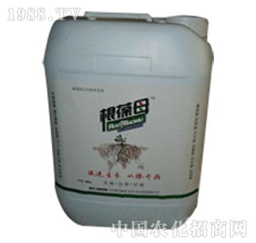 愛貝斯旺-根葆母