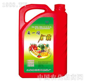 ����-��һͰ���