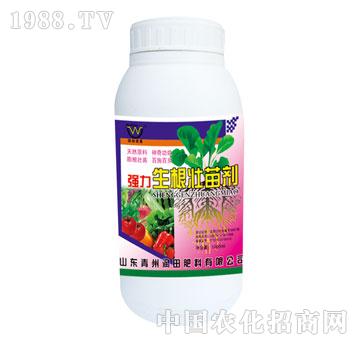 ����-�����������焩