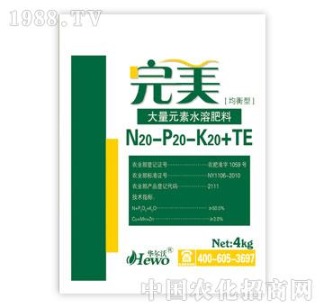 ����-����20-20-20