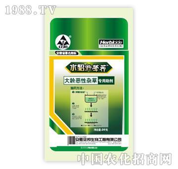 ����-���g�����s�݌�(zhu��n)������