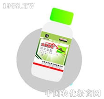 ����-����ˌ�