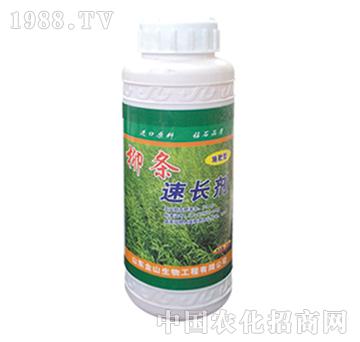 金山生物-柳條速長(zhǎng)劑