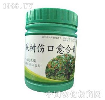 ��ɽ����-����������ϸ�