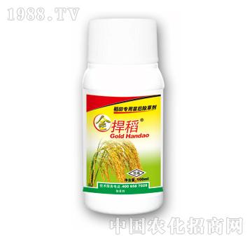 金悍稻-泰陽(yáng)