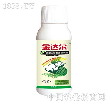 ���_��-̩�