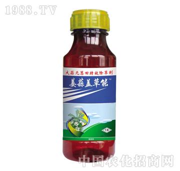 �����w����-̩�