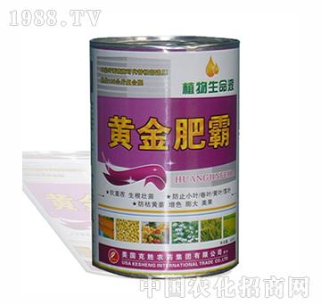 �S��ʰ�-�����r��