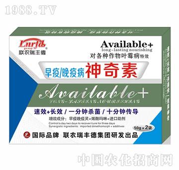 ���ߡ�����������-�����r��