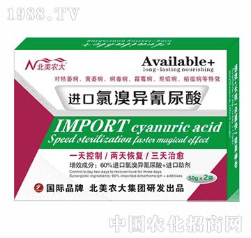 �M�����宐������-�����r��