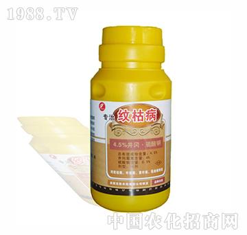 ����-�y�ݲ�-�����r��