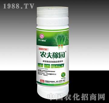 農(nóng)夫稼園_（韭菜）