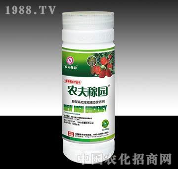 農(nóng)夫稼園_（草莓）