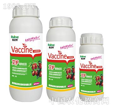 艾護植物疫苗大棗專用-銳邁特