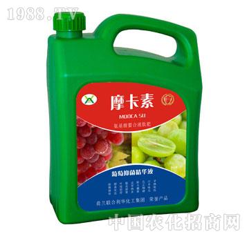 葡萄抑菌精華液-摩卡素-強(qiáng)芯國(guó)際