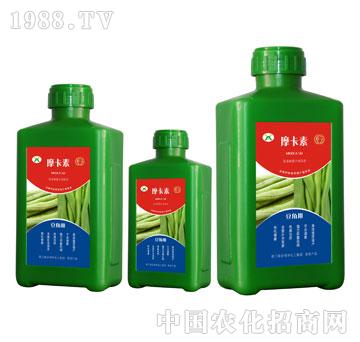 豆角專用氨基酸螯合液肽肥-摩卡素-強(qiáng)芯國(guó)際