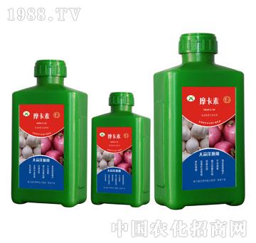 大蒜洋蔥專用氨基酸螯合液肽肥-摩卡素-強(qiáng)芯國際