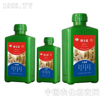 大姜專用氨基酸螯合液肽肥-摩卡素-強(qiáng)芯國(guó)際