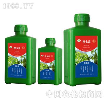 茶桑專用氨基酸螯合液肽肥-摩卡素-強芯國際